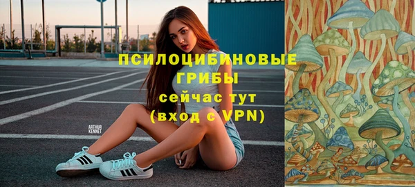 MDMA Premium VHQ Каменка