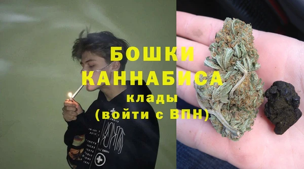 ПСИЛОЦИБИНОВЫЕ ГРИБЫ Каменногорск