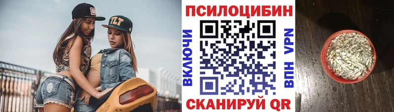 где купить наркоту  Ногинск  Галлюциногенные грибы мицелий 